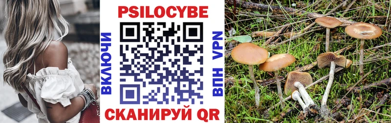 купить наркотик  Игра  Галлюциногенные грибы Psilocybine cubensis 