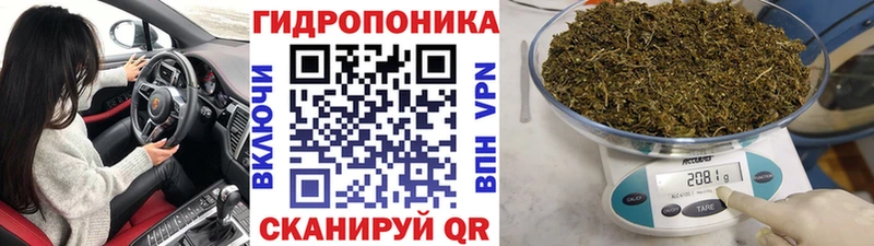 Конопля гибрид  хочу наркоту  Игра 